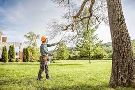 Best Tree Mulching  in South San Jose Hills, CA